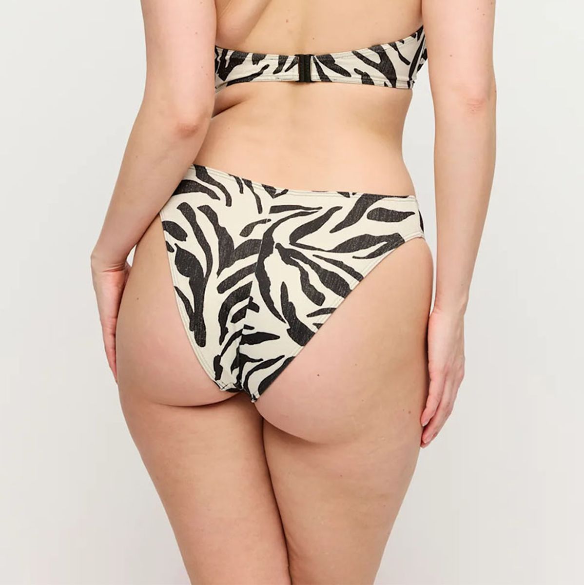 PrimaDonna Swim Dalice Brazillian Brief